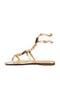 view 5 of 5 Cassandra Sandal in Platina