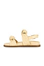 view 5 of 5 Kareena Knot Sporty Sandal in Natural Nibs