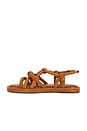 view 5 of 5 Janet Sandal in Cuoio Brown