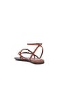 view 3 of 5 Diana Flat Sandal in Desert Brown