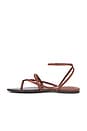 view 5 of 5 Diana Flat Sandal in Desert Brown