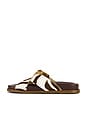 view 5 of 5 Lois Sporty Sandal in Off Brown