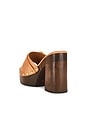 view 3 of 5 SANDALIA IRIE PLATFORM in Earth Clay