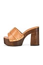 view 5 of 5 SANDALIA IRIE PLATFORM in Earth Clay