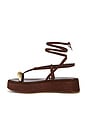 view 5 of 5 SANDALIA ZADIE PLATFORM in Chestnut Brown