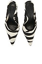 view 4 of 5 SIENA MULE 펌프 in Zebra Print