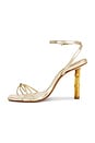 view 5 of 5 Haven Bamboo Sandal in Platinum