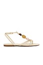 view 1 of 5 Amber Flat Sandal in Egg Shell