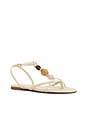 view 2 of 5 Amber Flat Sandal in Egg Shell