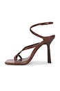 view 5 of 5 SANDALES AMALFI in Root Brown