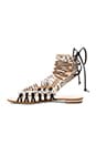 view 5 of 5 SANDALIA AGATHE in Pearl & Yucc