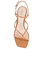 view 4 of 5 Aurora Stiletto in Honey Beige