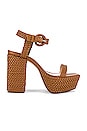 view 1 of 5 Sabella Platform Sandal in Hazel