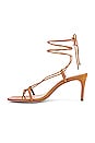 view 5 of 5 Antosha Sandal in Sienna