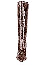 view 4 of 5 BOTTINES PEDRIA in Walnut