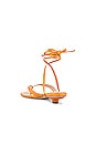 view 3 of 5 Leni Slides in Inca Gold