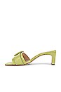 view 5 of 5 Jessy Mule in Mellow Green