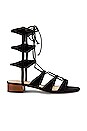 view 1 of 5 Marlah Sandal in Black