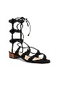 view 2 of 5 Marlah Sandal in Black