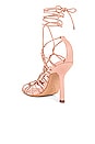 view 3 of 5 Heyde Heel in Sweet Rose