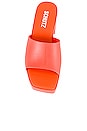 view 4 of 5 PANTUNFLA MIZZY in Bright Orange
