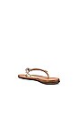 view 3 of 5 Belle Flip Flop in Eggshell