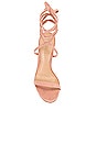 view 4 of 5 Cloe Sandal in Sweet Rose