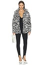 view 6 of 6 Zenya Jacket in Animal Print