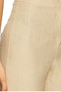 view 6 of 6 Capri Pant in Beige
