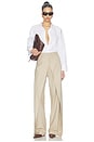 view 7 of 7 Reign Pants in Beige