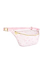 view 4 of 4 Classic Jumbo Fanny Pack in Climbing Roses