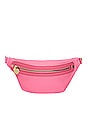 view 1 of 4 Classic Fanny Pack in Guava
