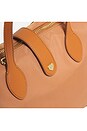 view 9 of 9 Pouchette Crossbody 03 in Camel