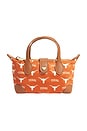 view 1 of 7 University Of Texas Printed Nylon Pouchette Crossbody in 