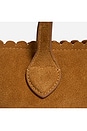 view 9 of 10 Pittsford Pouchette Crossbody Bag in Maple