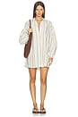 view 1 of 4 x REVOLVE Amelia Mini Dress in Brown Stripe