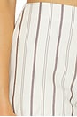 view 6 of 6 AMELIA ショートパンツ in Brown Stripe
