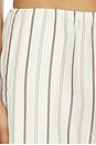 view 6 of 6 x REVOLVE Amelia Pant in Brown Stripe