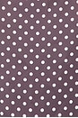 view 6 of 6 x REVOLVE Porsha Top in Brown & Ivory Dot