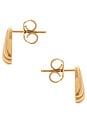 view 3 of 3 Conchita Oro Studs in Gold