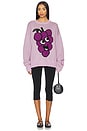 view 5 of 5 x OLIPOP Grape Sweater in Purple