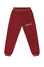 view 1 of 6 Star Sweatpant in Maroon