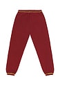 view 2 of 6 Star Sweatpant in Maroon
