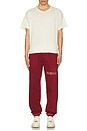 view 6 of 6 Star Sweatpant in Maroon
