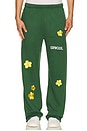 view 1 of 7 Sunflower Sweatpant in Forest Green