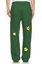 view 4 of 7 Sunflower Sweatpant in Forest Green