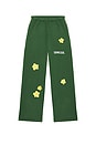 view 6 of 7 Sunflower Sweatpant in Forest Green