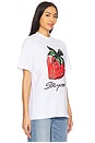 view 2 of 4 Scratch N Sniff Strawberry Tee in White