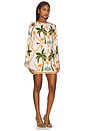 view 2 of 3 Isla Mini Dress in Cabanna Sand