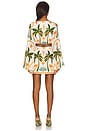 view 3 of 3 Isla Mini Dress in Cabanna Sand